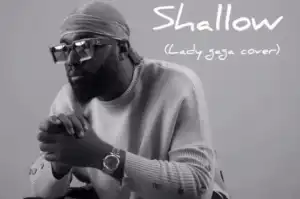 Praiz - Shallow